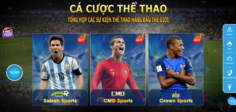 Thi đấu Thể thao