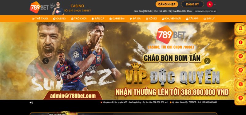 Nhận định sơ lược về trang cá cược đình đám 789BET