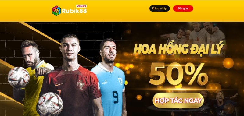 Chương trình đại lý Rubik88