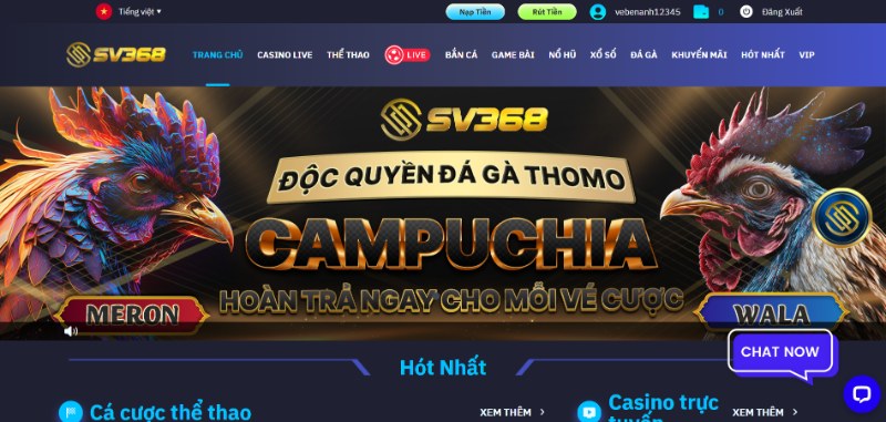 Giao diện đẹp mắt của SV368